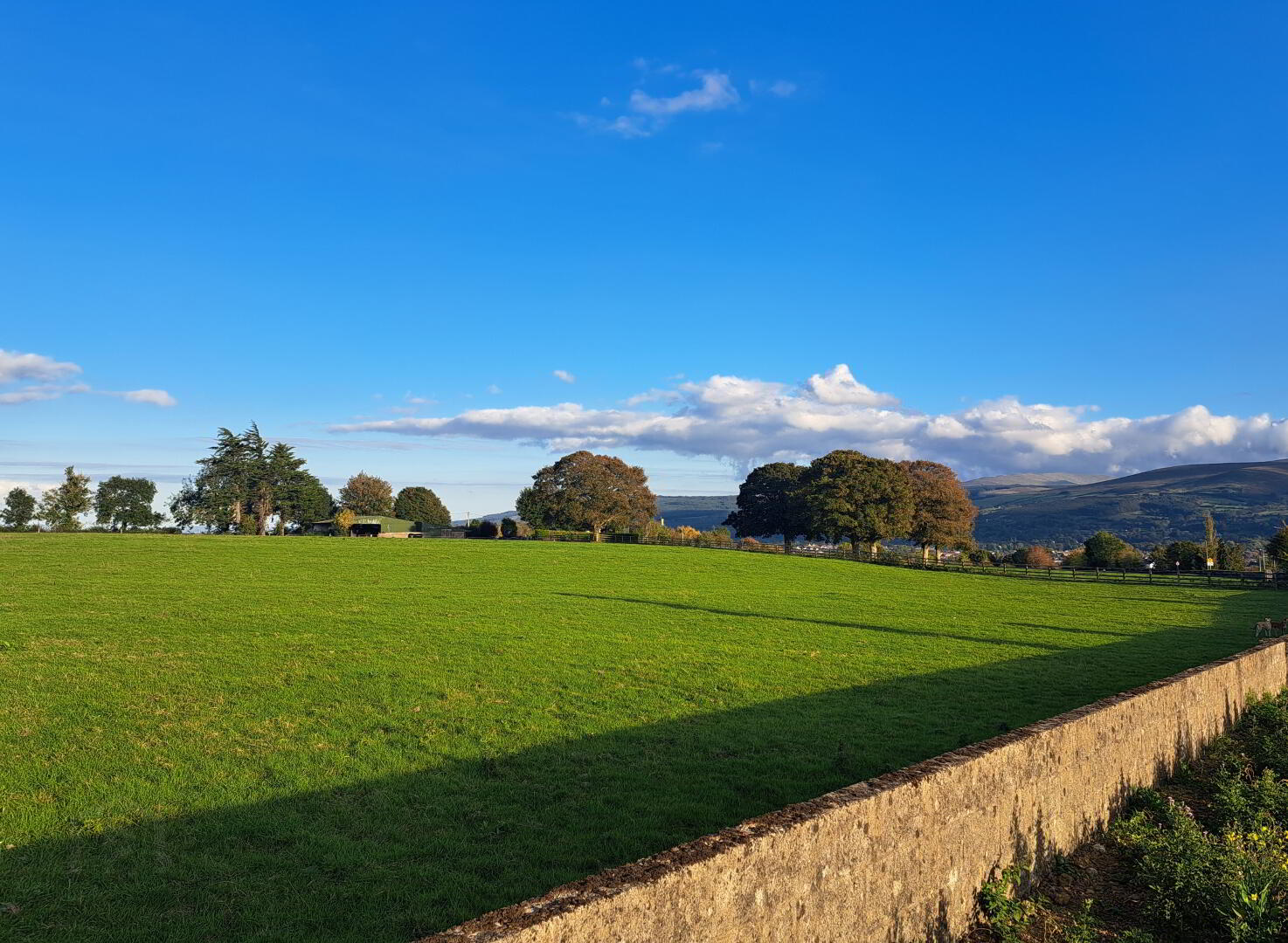 C. 20 Acres At Cashel Road 4 of 9