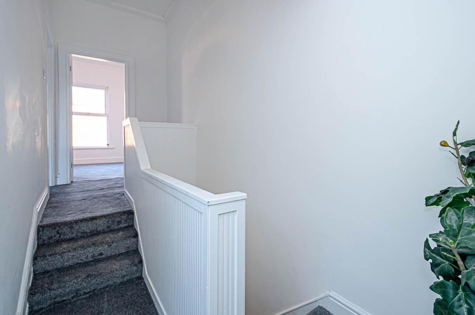 14 Jocelyn Street 15 of 26