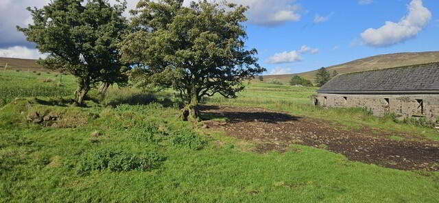 165m SW Of 52 Old Cushendun Road 2 of 8