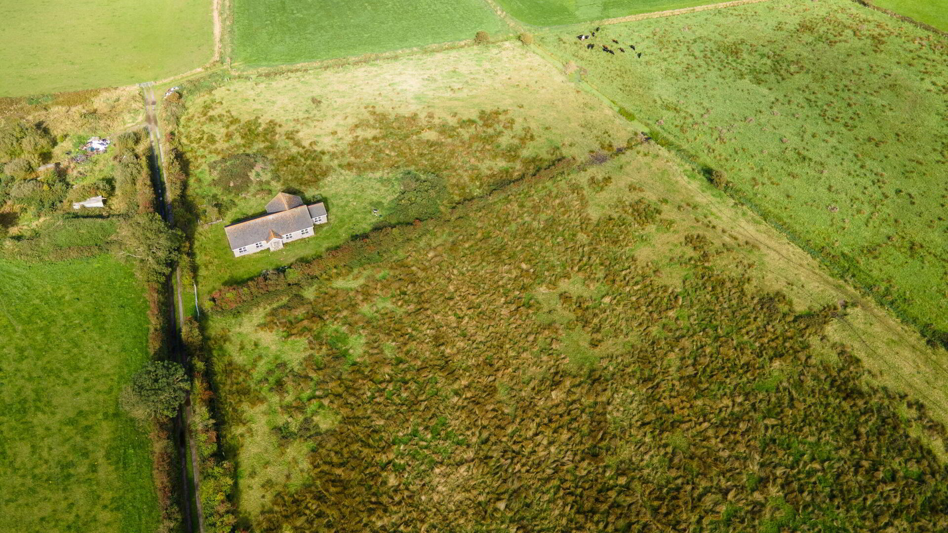 220m North West Of, 46 Ballyeasborough Road 2 of 13