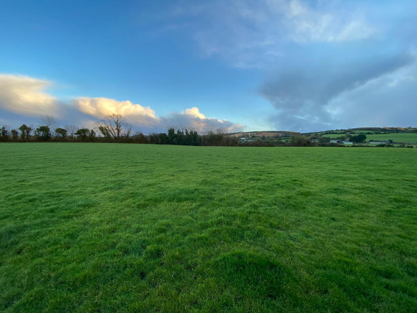 Kildrummy 2 of 14
