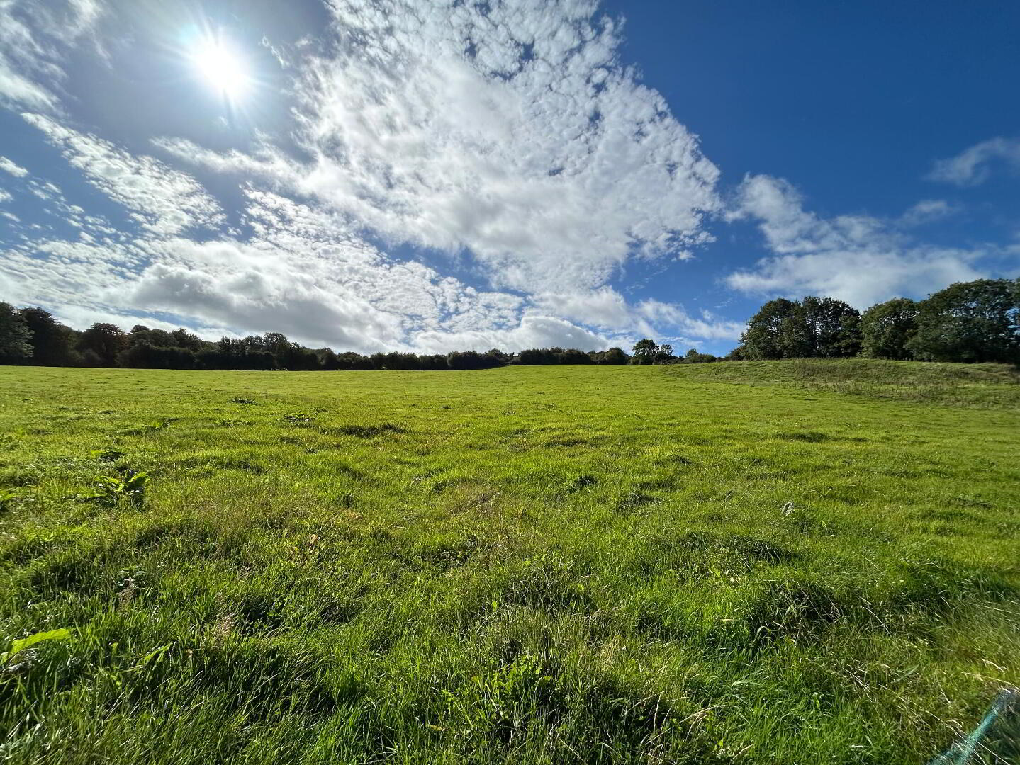 Kildrummy 9 of 14