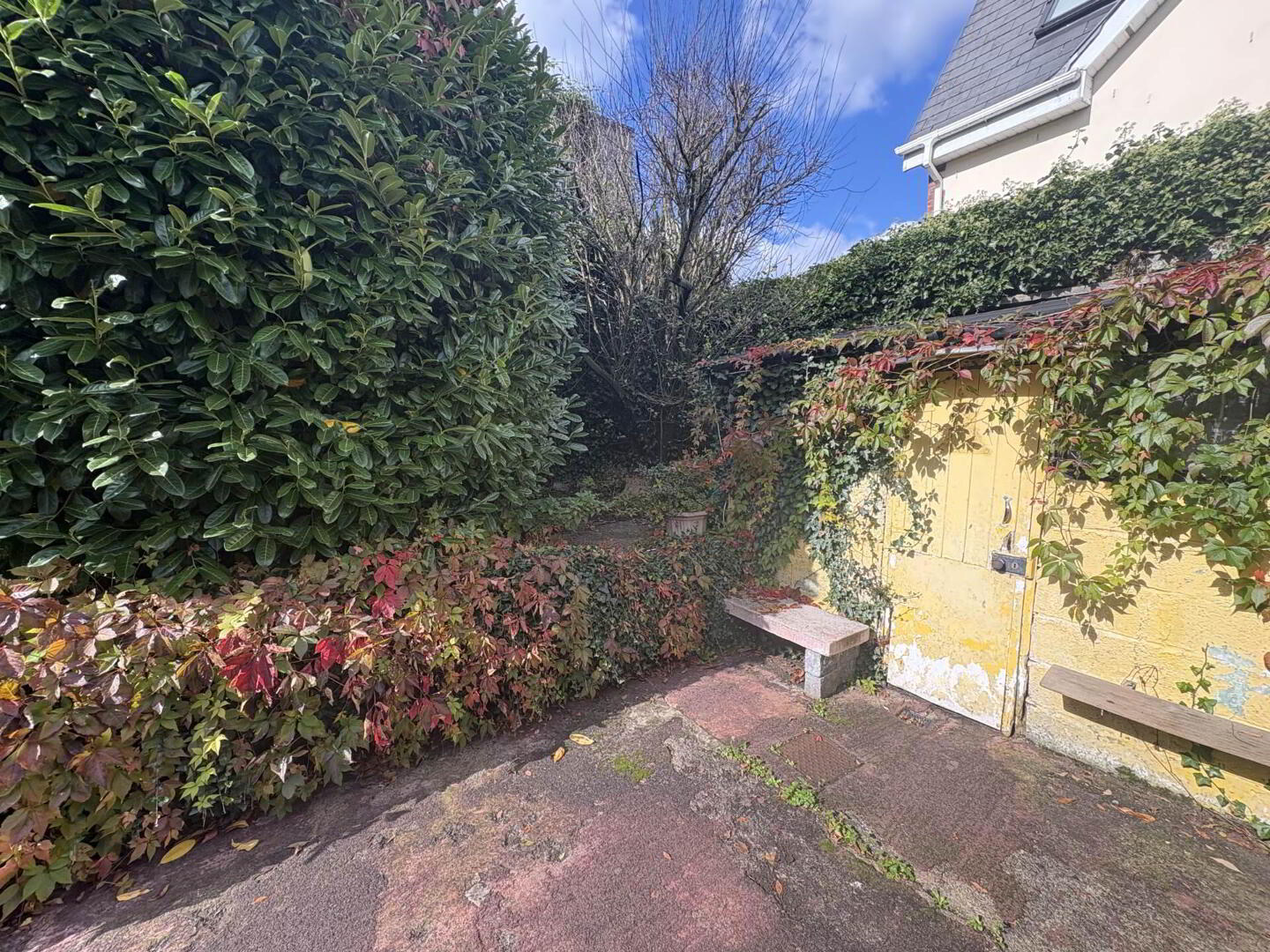 5 Mulgrave Street 23 of 25