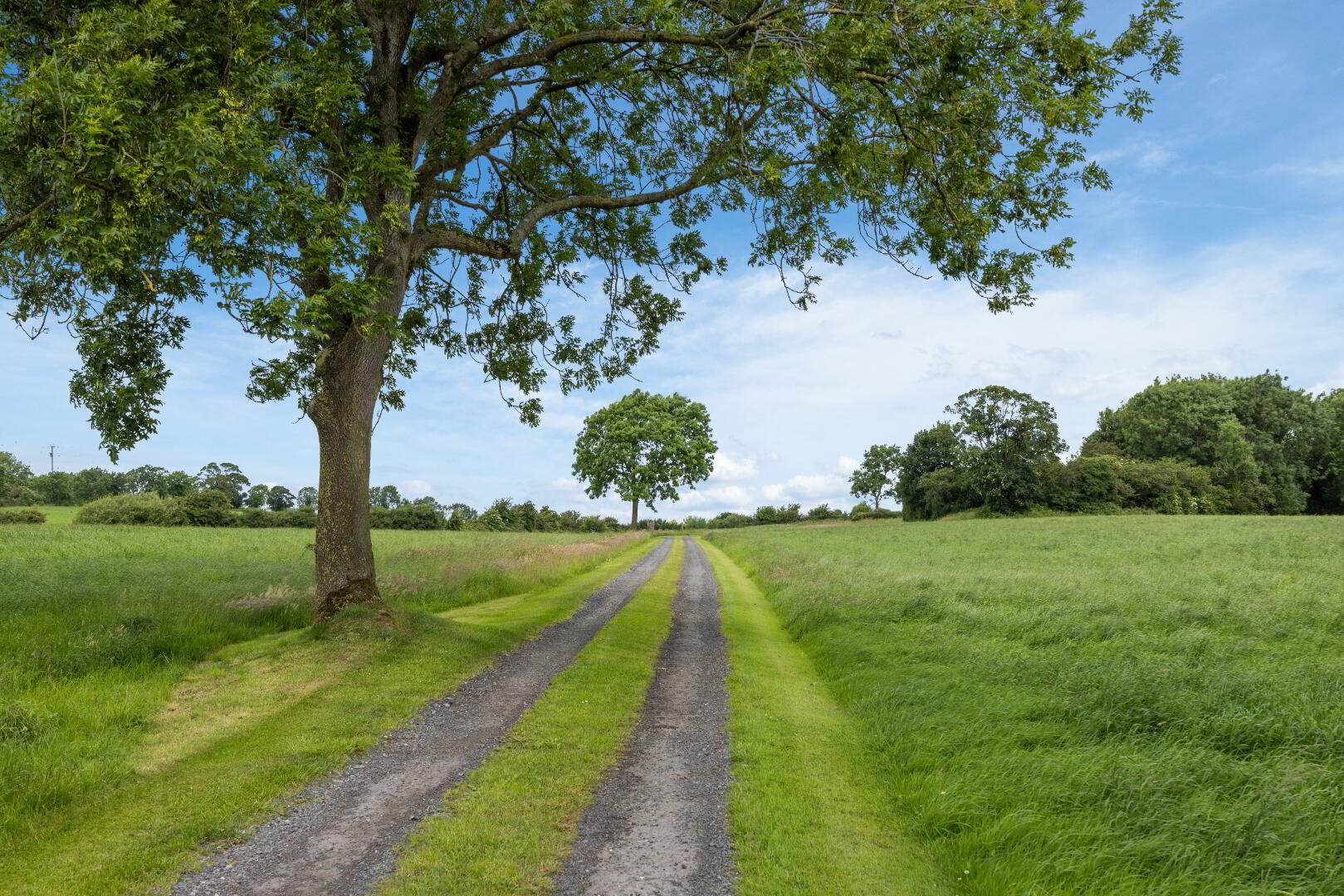 Lot 2, Lands At Killysorrell Road 4 of 8