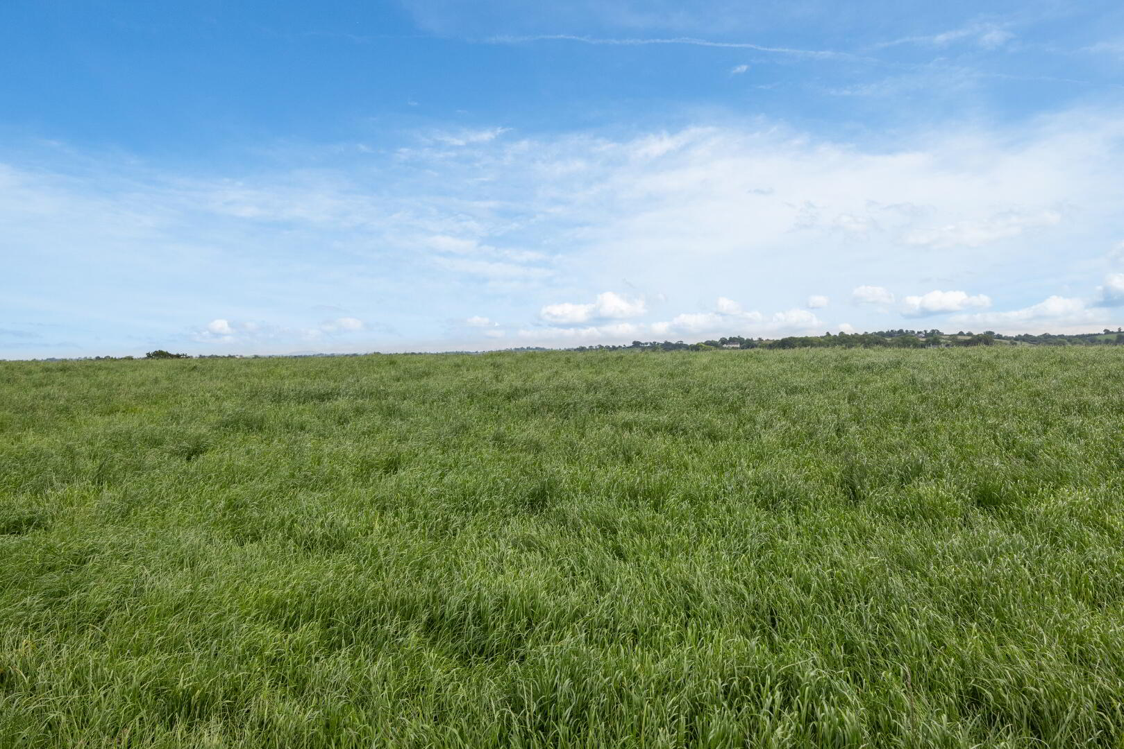 Lot 2, Lands At Killysorrell Road 2 of 8