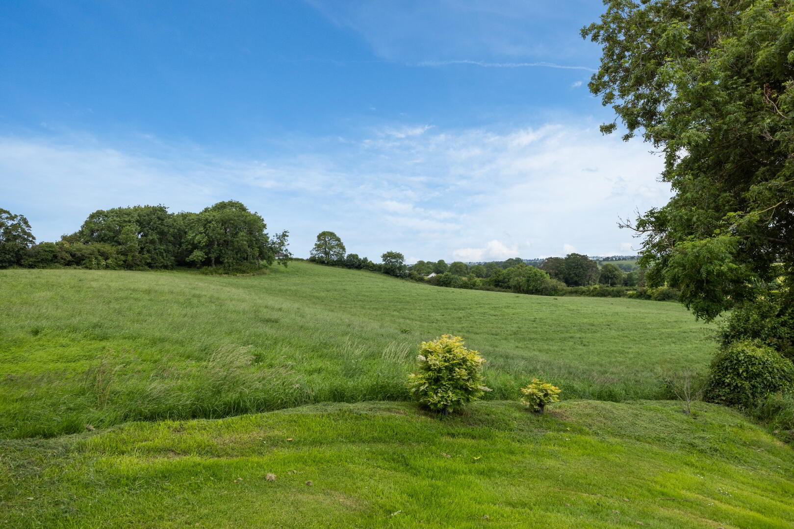 Lot 2, Lands At Killysorrell Road 3 of 8