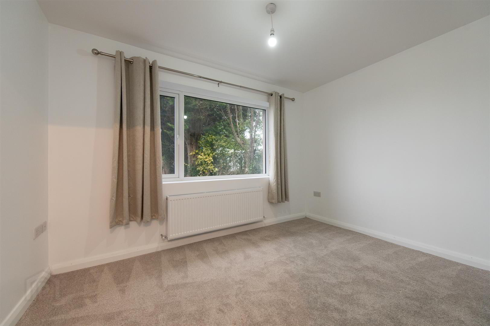 21 Scaddy Road 8 of 20