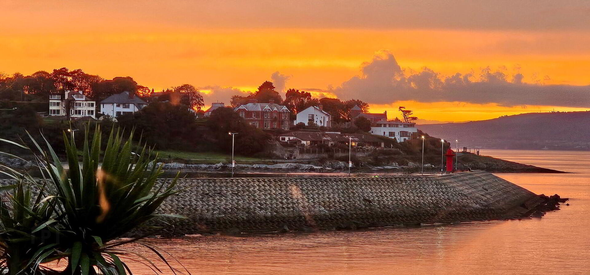 46 Seacliff Road 42 of 46