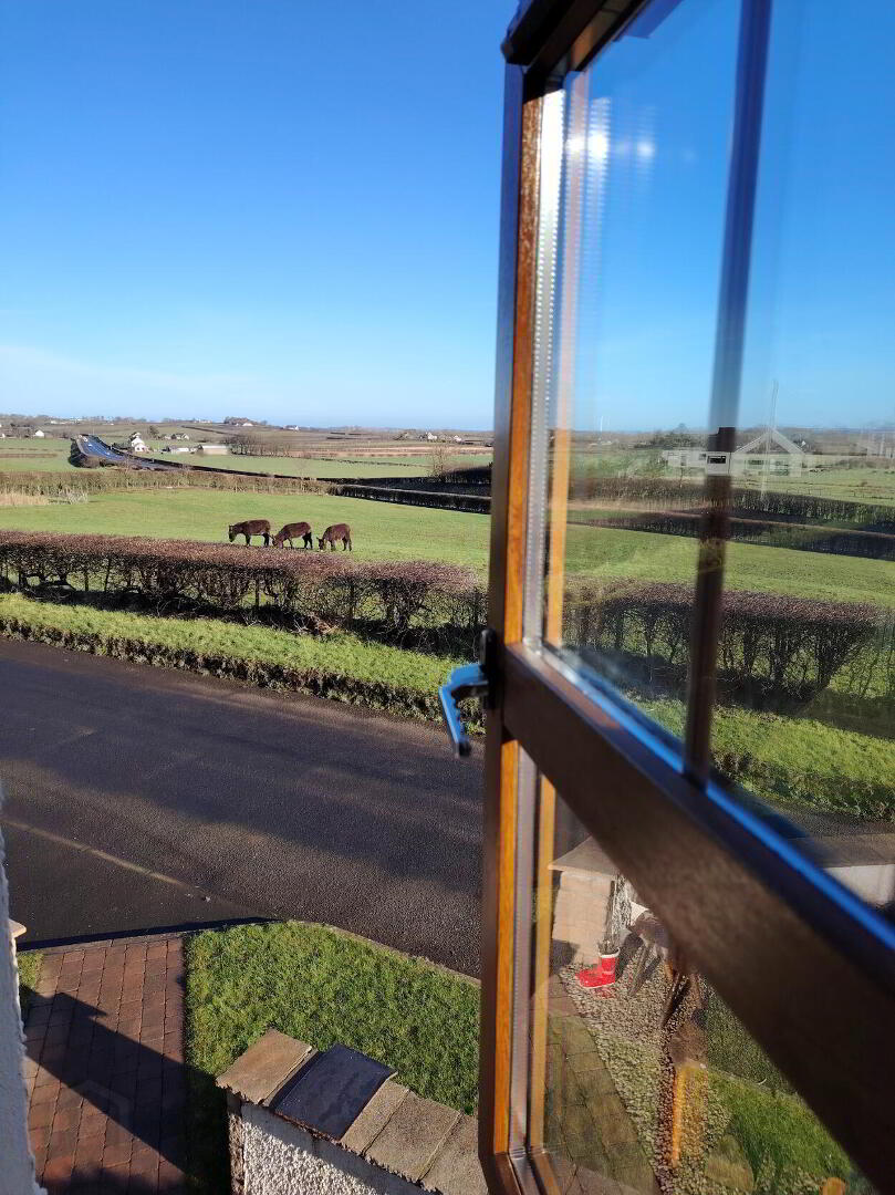 4 Ballywatt Cottages 16 of 20