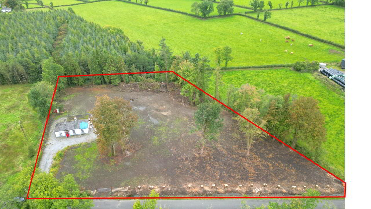 Ballagh 2 of 20