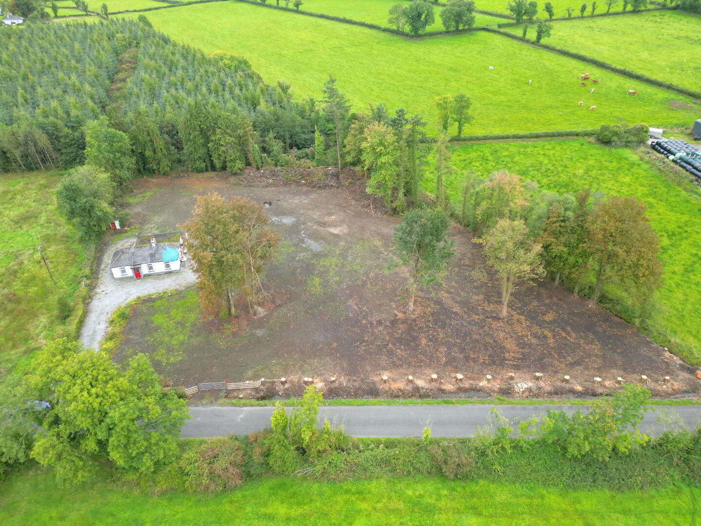 Ballagh 19 of 20