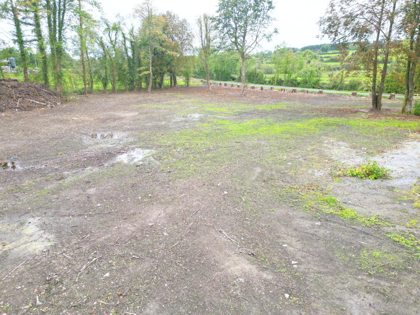Ballagh 20 of 20