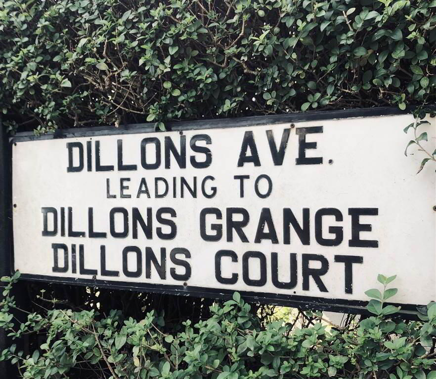 47 Dillons Avenue 5 of 35