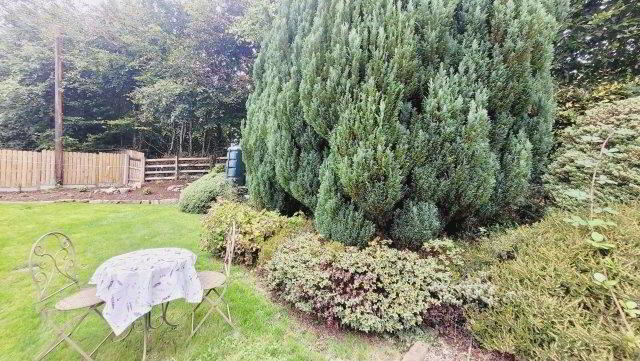 Wren Cottage" 28 of 30