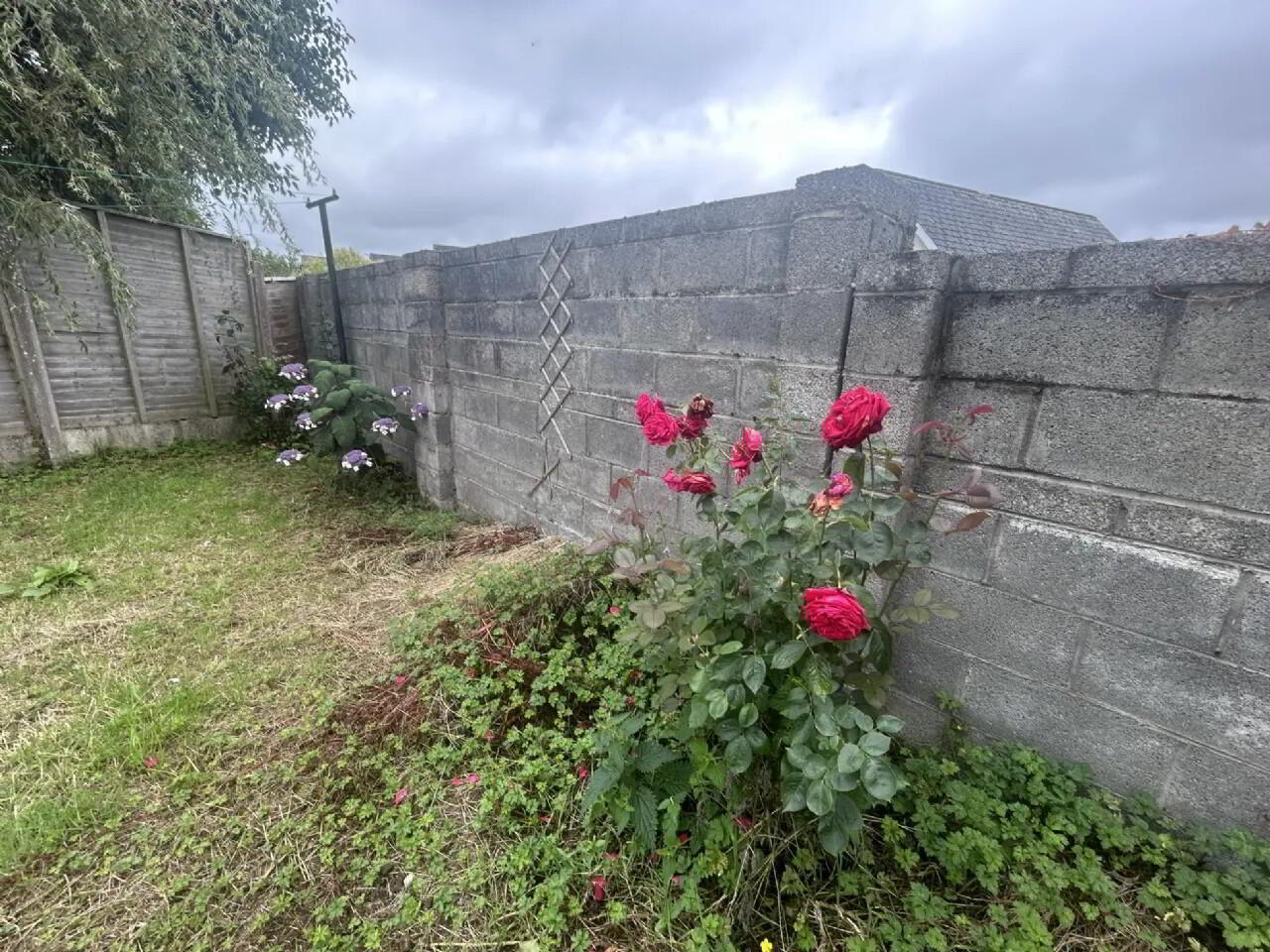 13 Lir Park 19 of 19