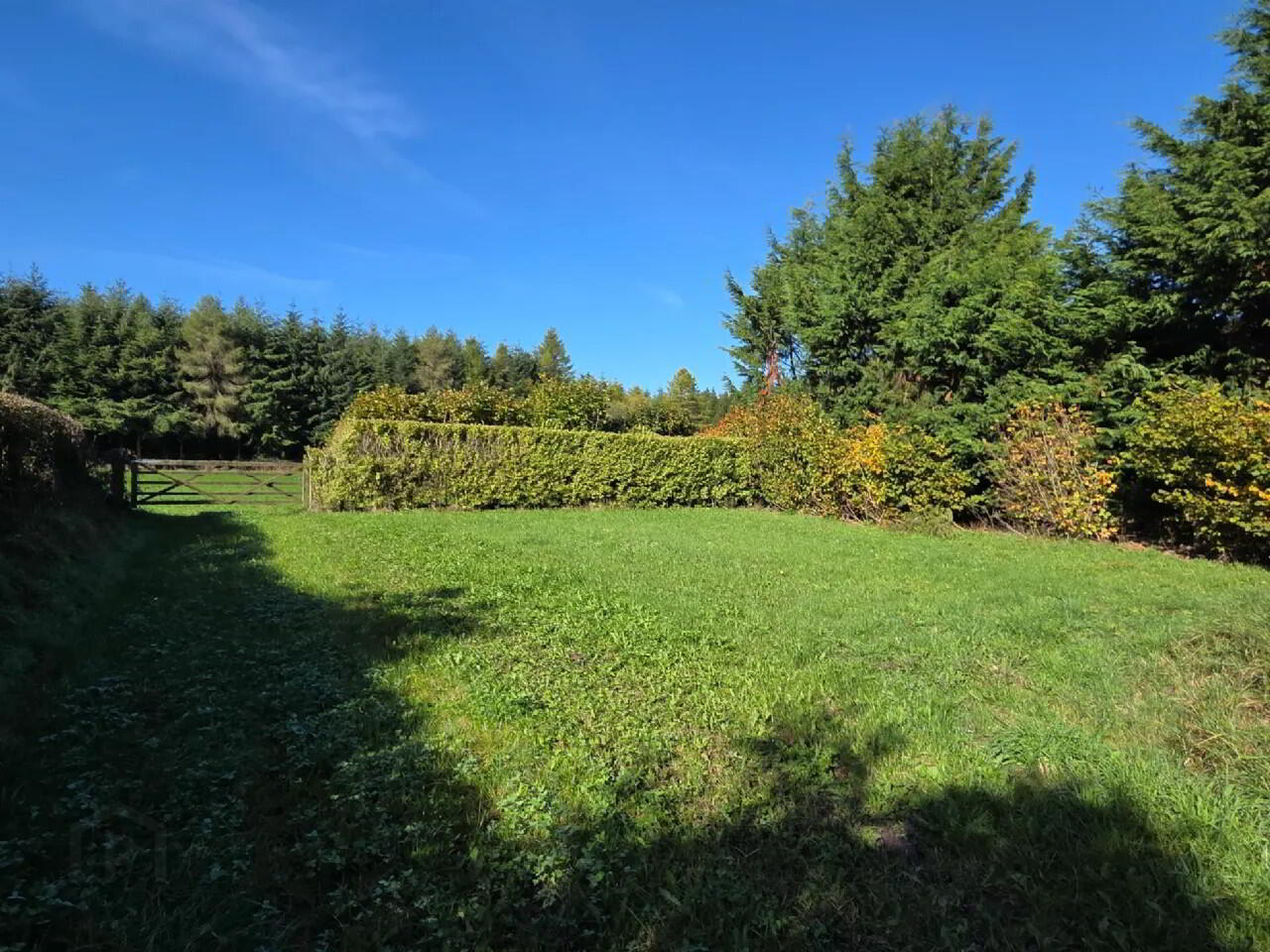 6 Bed On 3 Acres 28 of 34