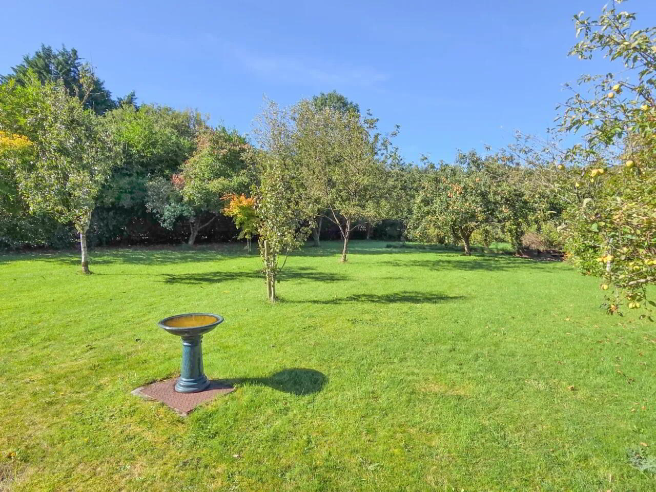 6 Bed On 3 Acres 30 of 34