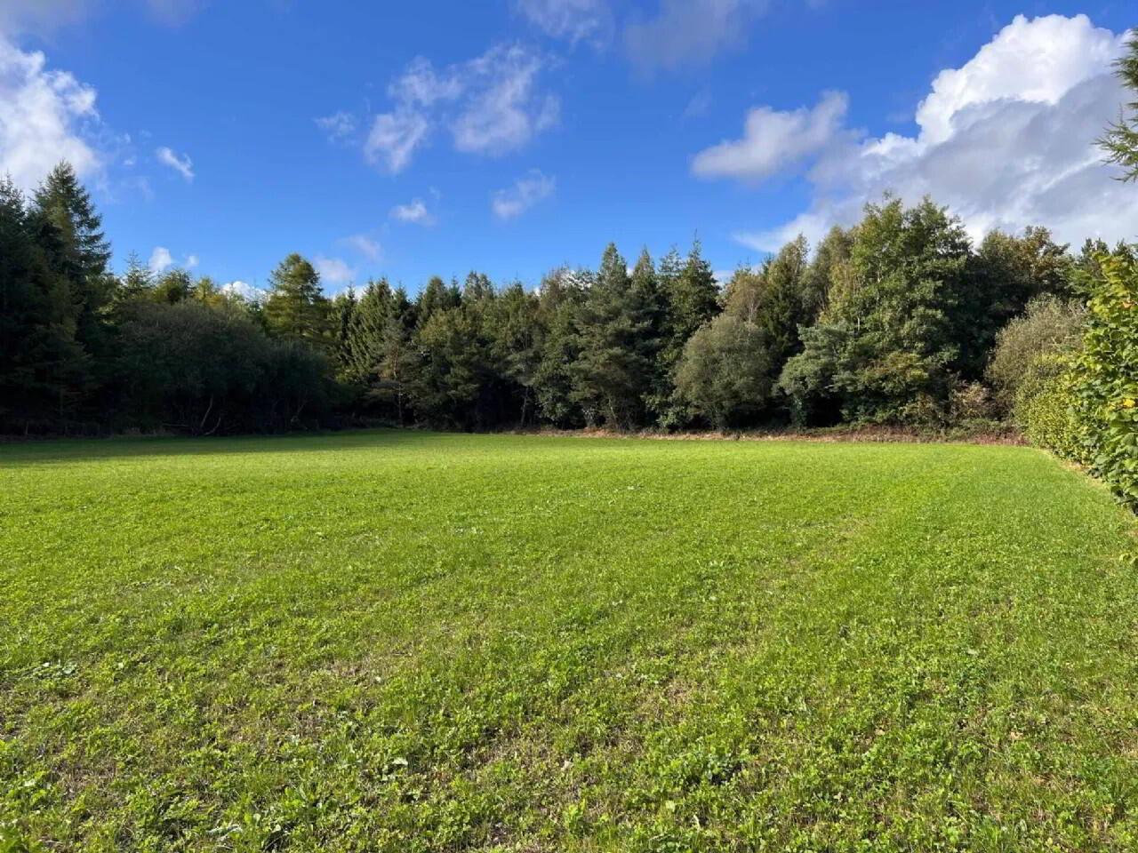 6 Bed On 3 Acres 26 of 34
