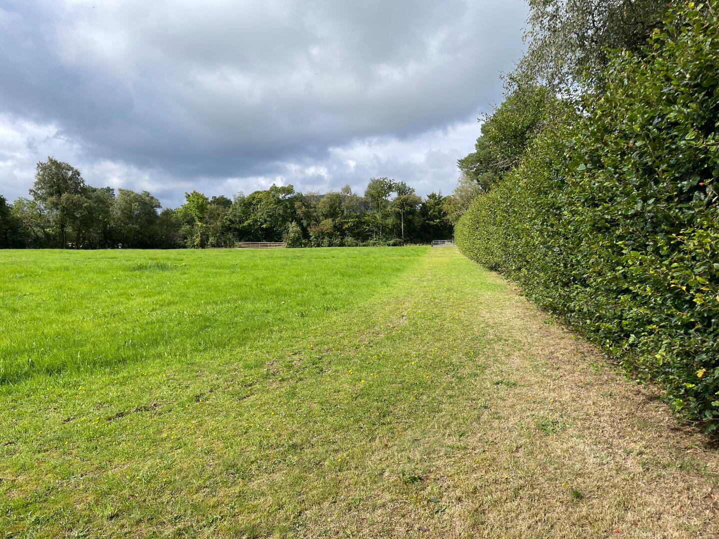 21 Cloane Road 4 of 40
