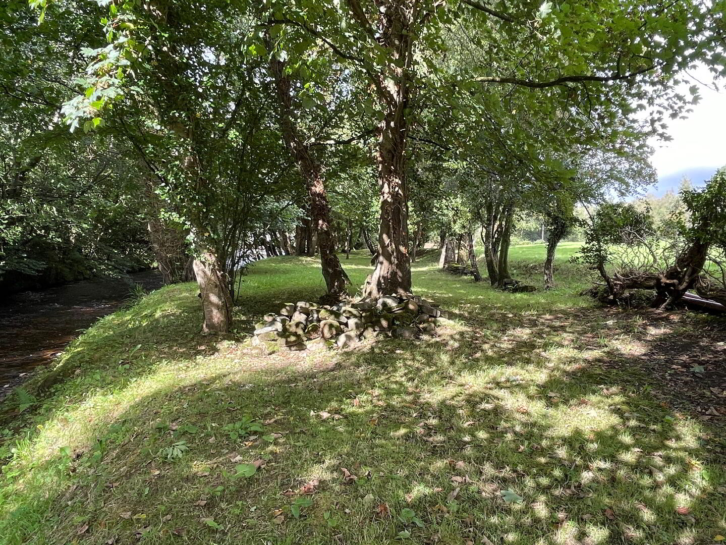 21 Cloane Road 18 of 40