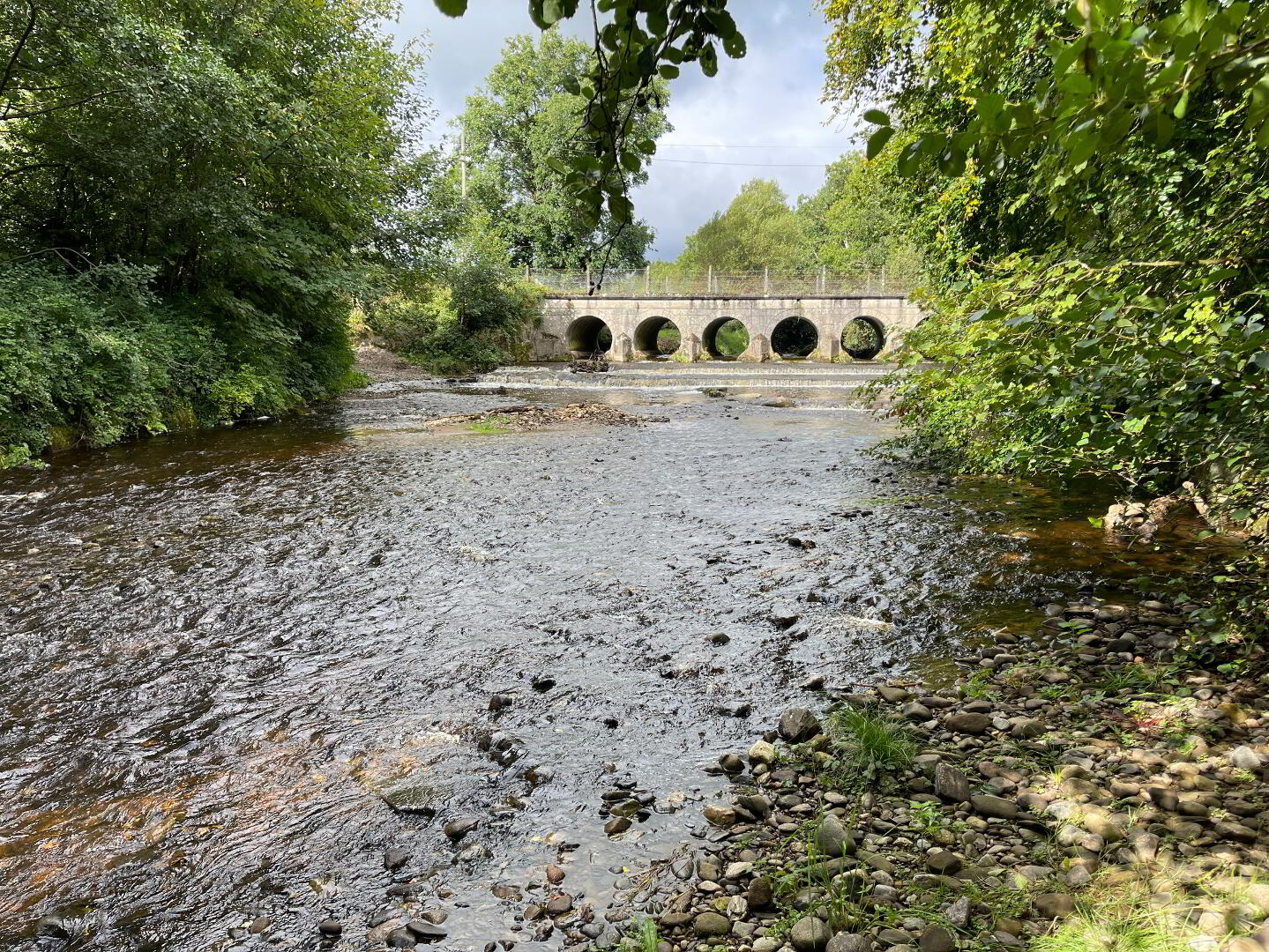 21 Cloane Road 14 of 40