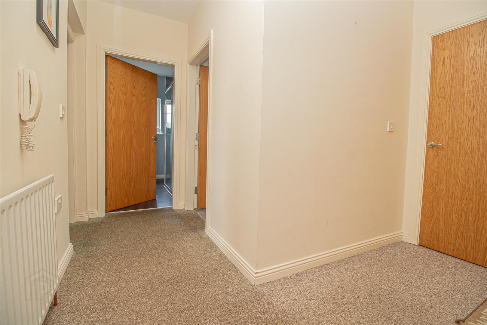 14 Springmount Mews 3 of 18