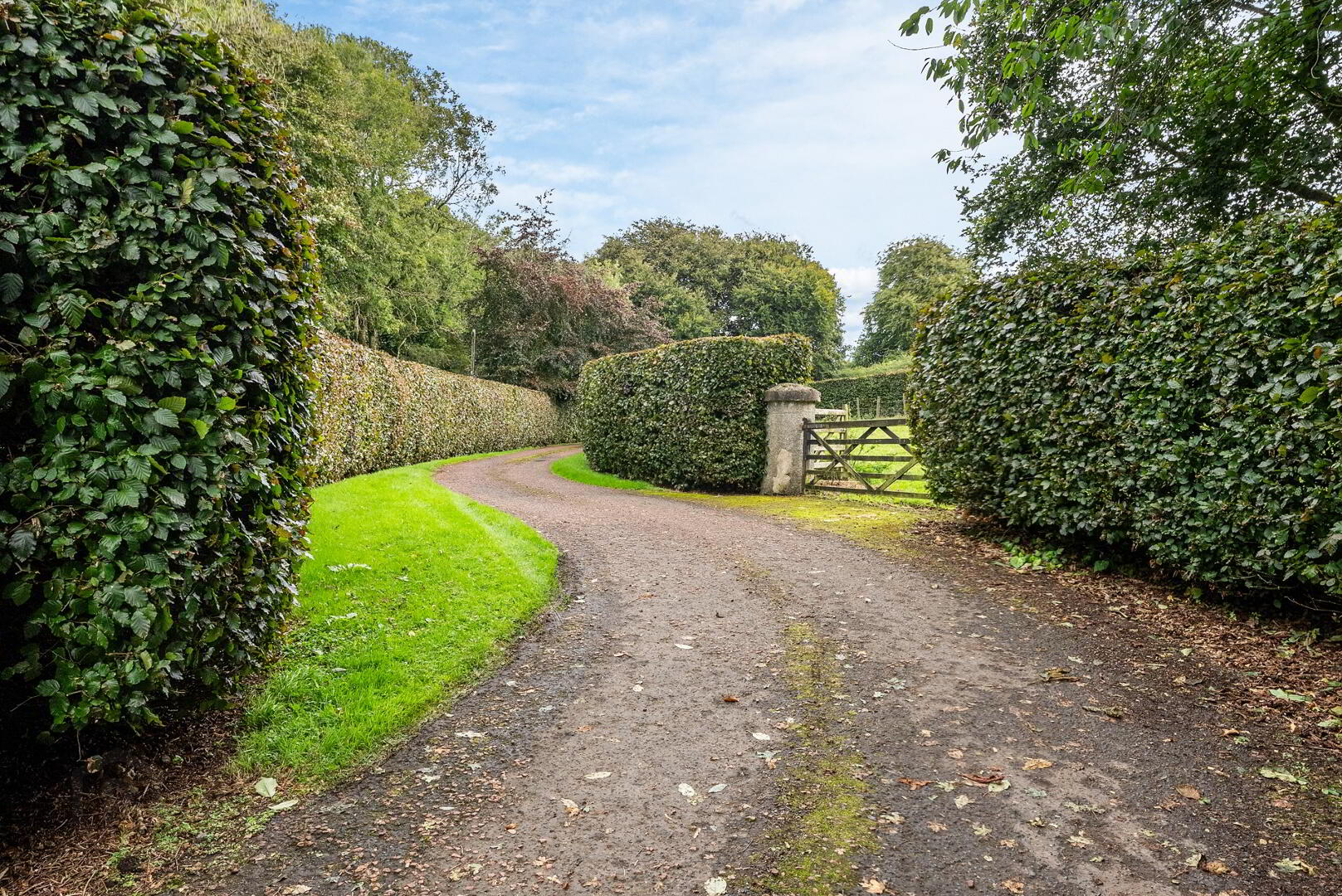 8a Logwood Road 14 of 17