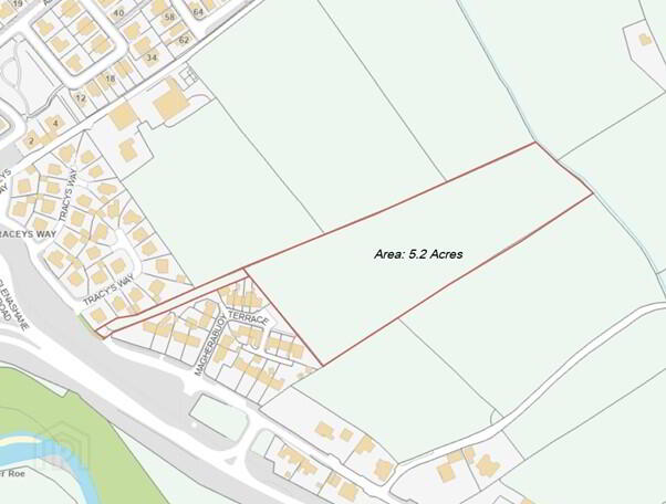 Agricultural Land @, Chapel Road NE Of Magherabuoy Terrace 2 of 4