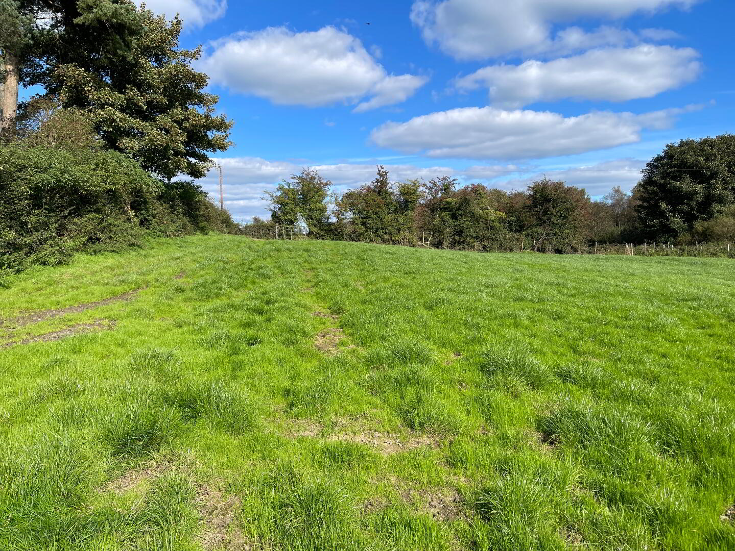 120m East Of 76, Thornhill Road 3 of 22