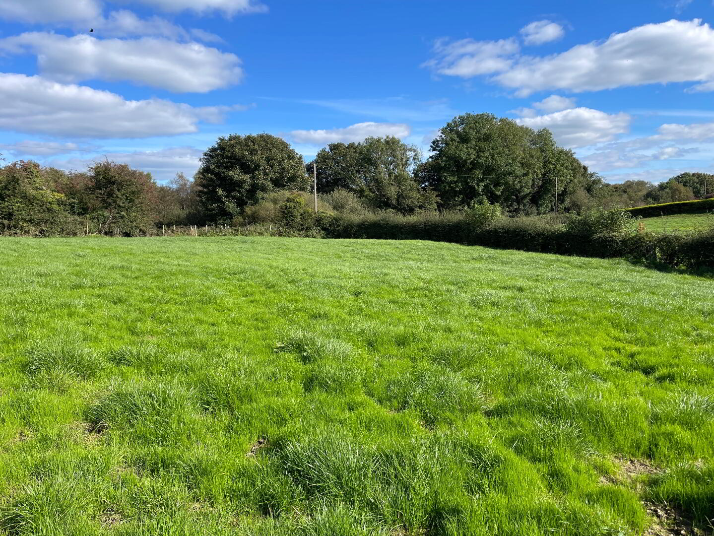 120m East Of 76, Thornhill Road 4 of 22