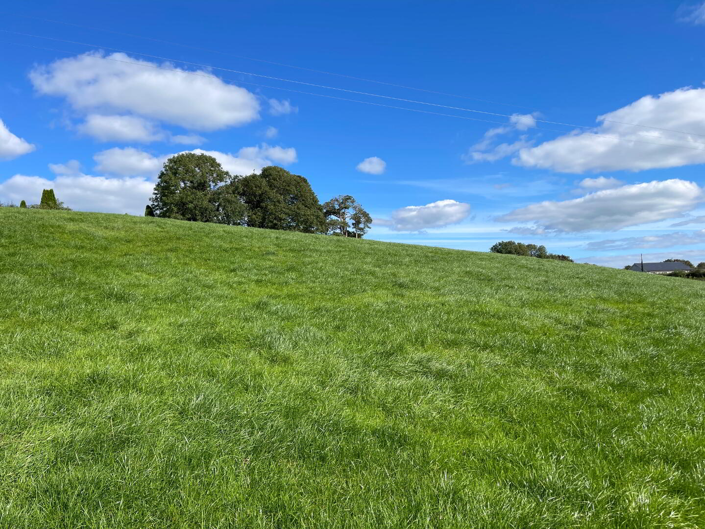 120m East Of 76, Thornhill Road 9 of 22