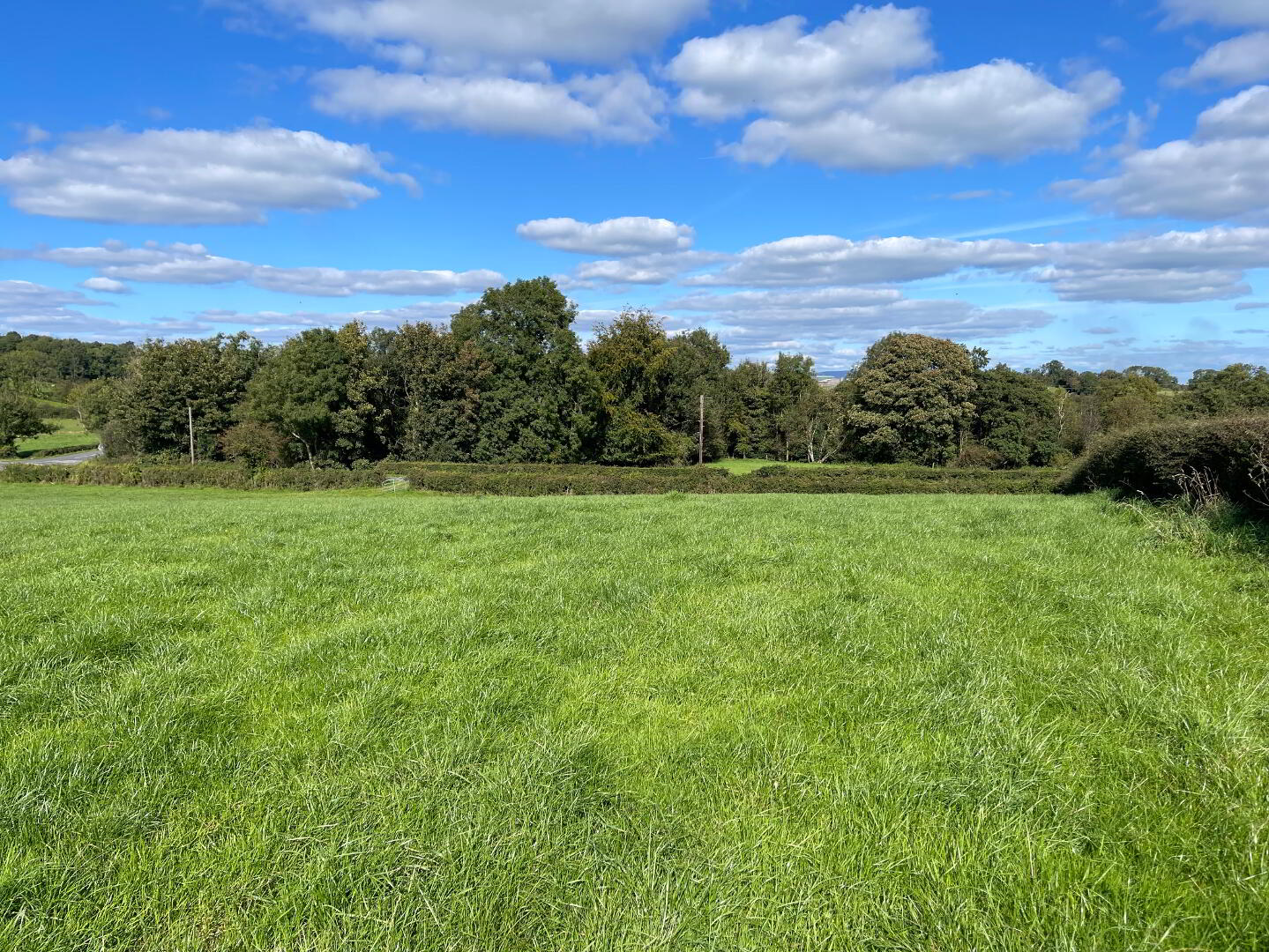 120m East Of 76, Thornhill Road 14 of 22