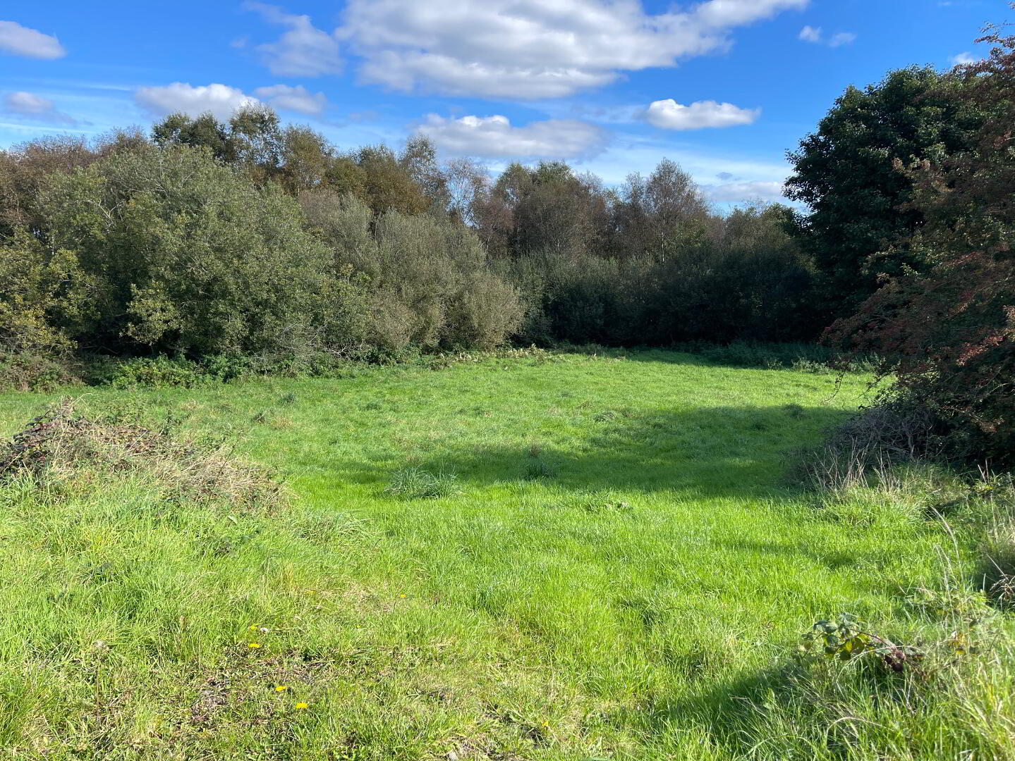 120m East Of 76, Thornhill Road 17 of 22