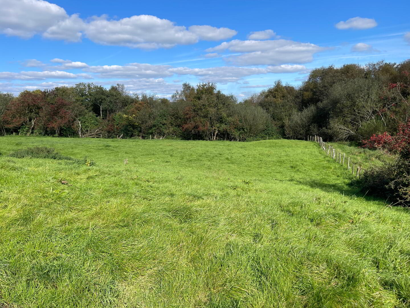 120m East Of 76, Thornhill Road 18 of 22