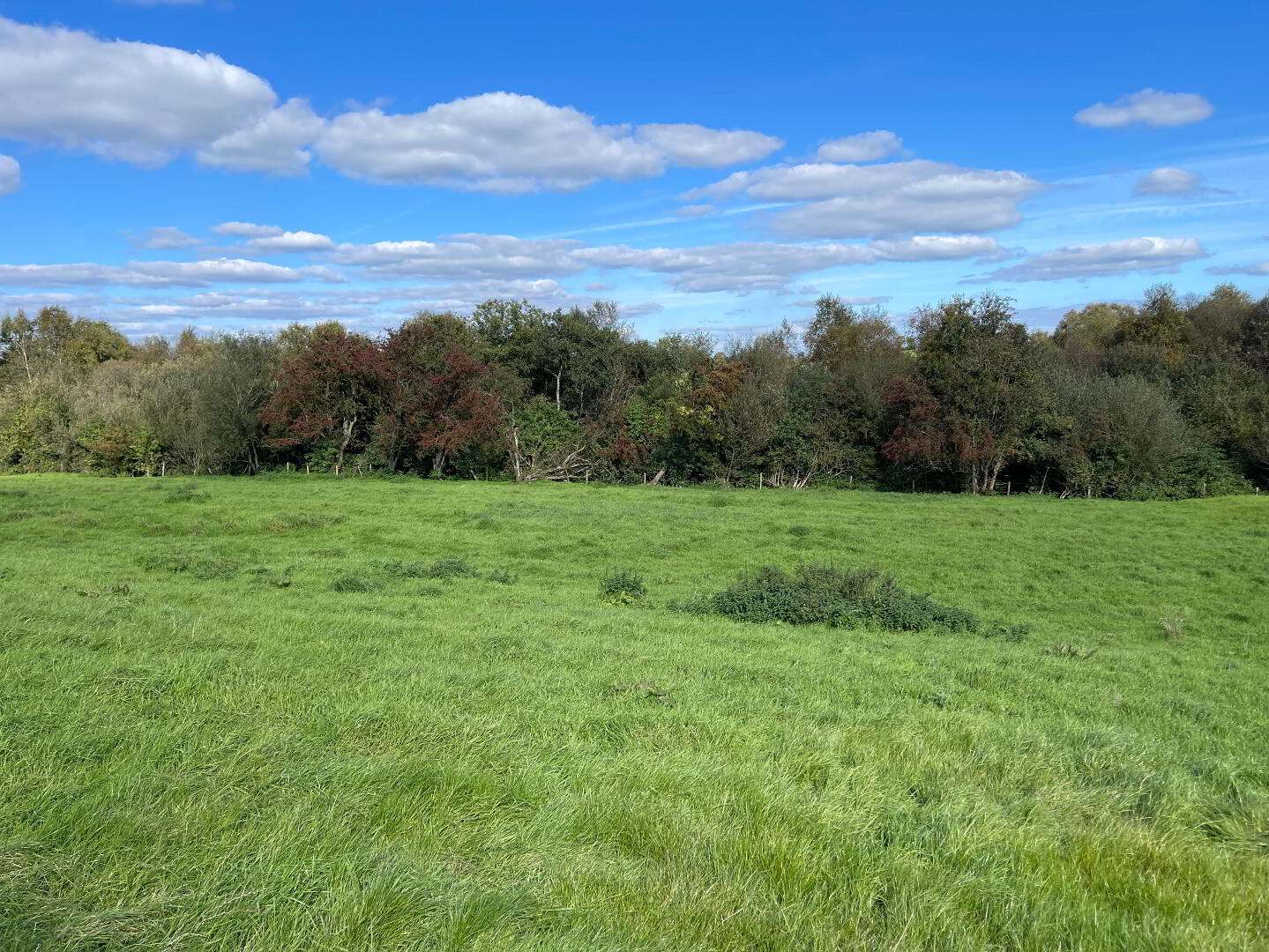 120m East Of 76, Thornhill Road 20 of 22