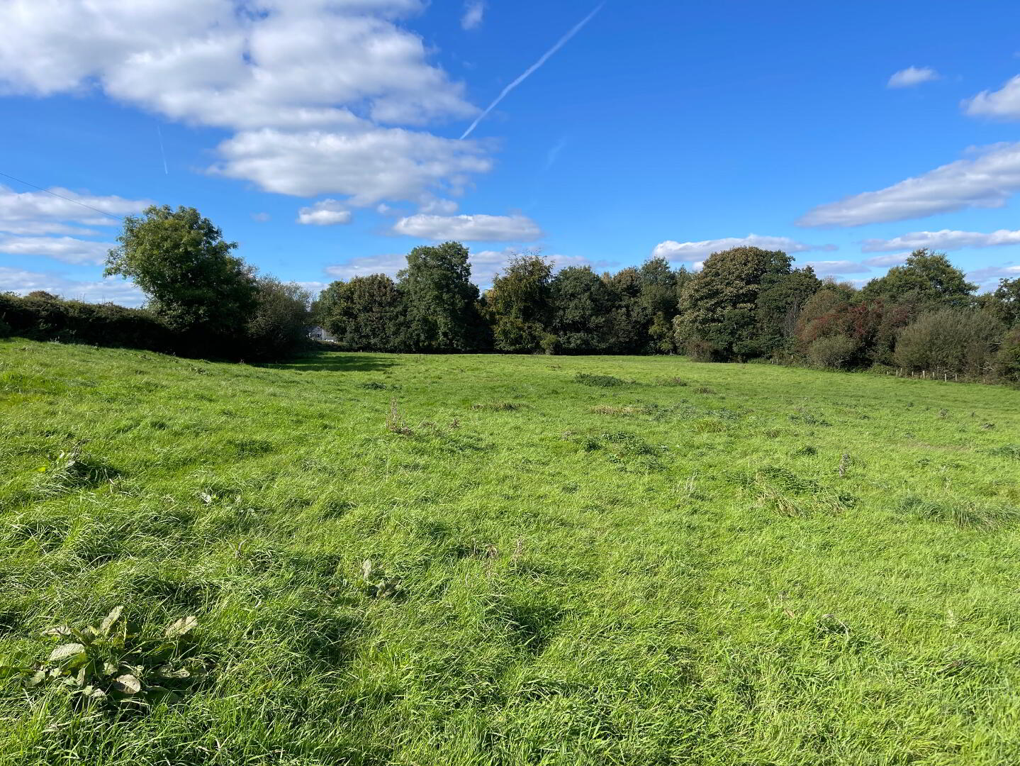 120m East Of 76, Thornhill Road 21 of 22