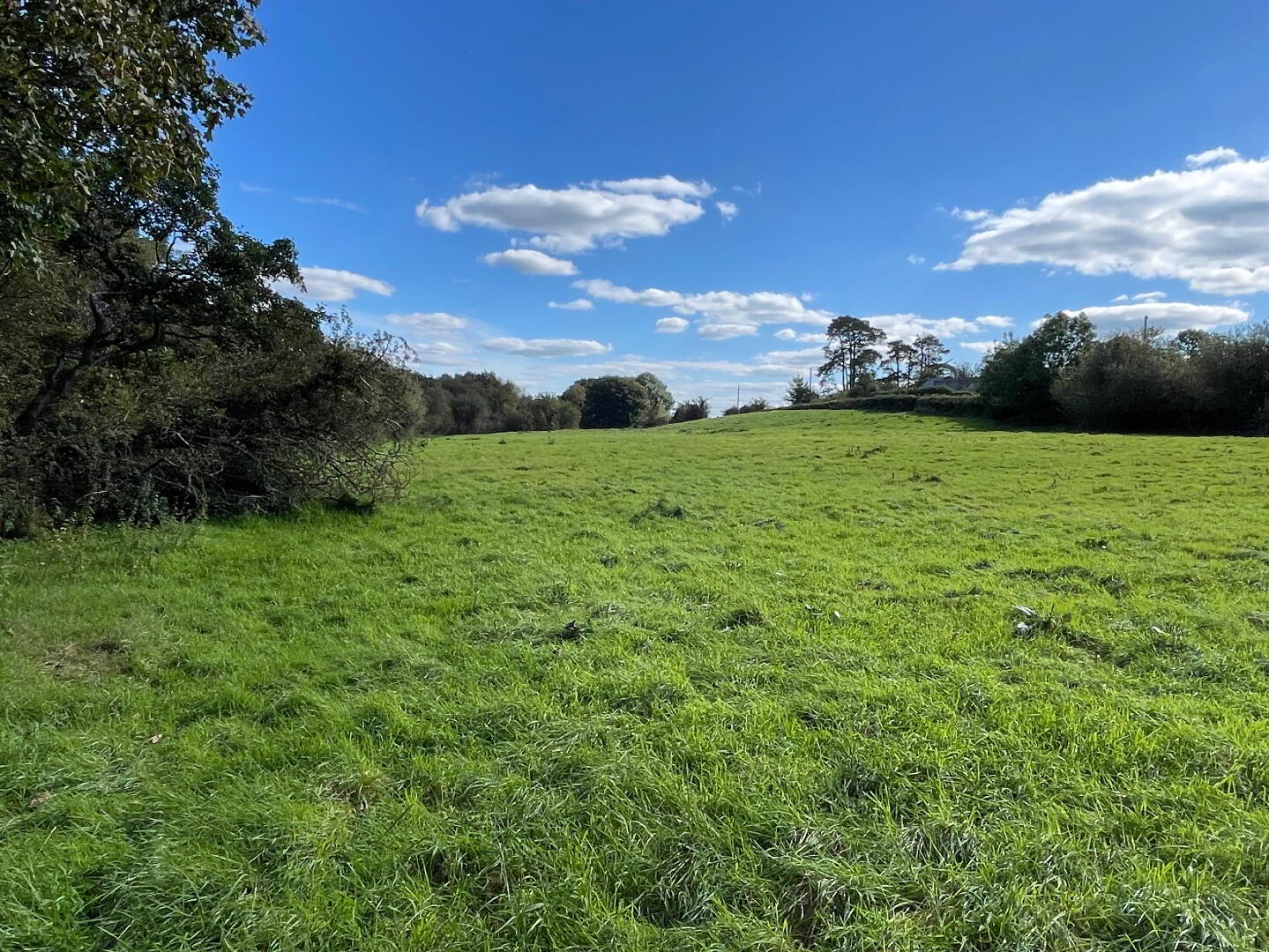 120m East Of 76, Thornhill Road 22 of 22