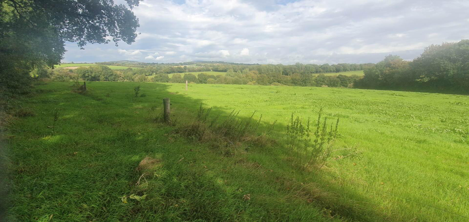 Ballyroe Upper 4 of 6