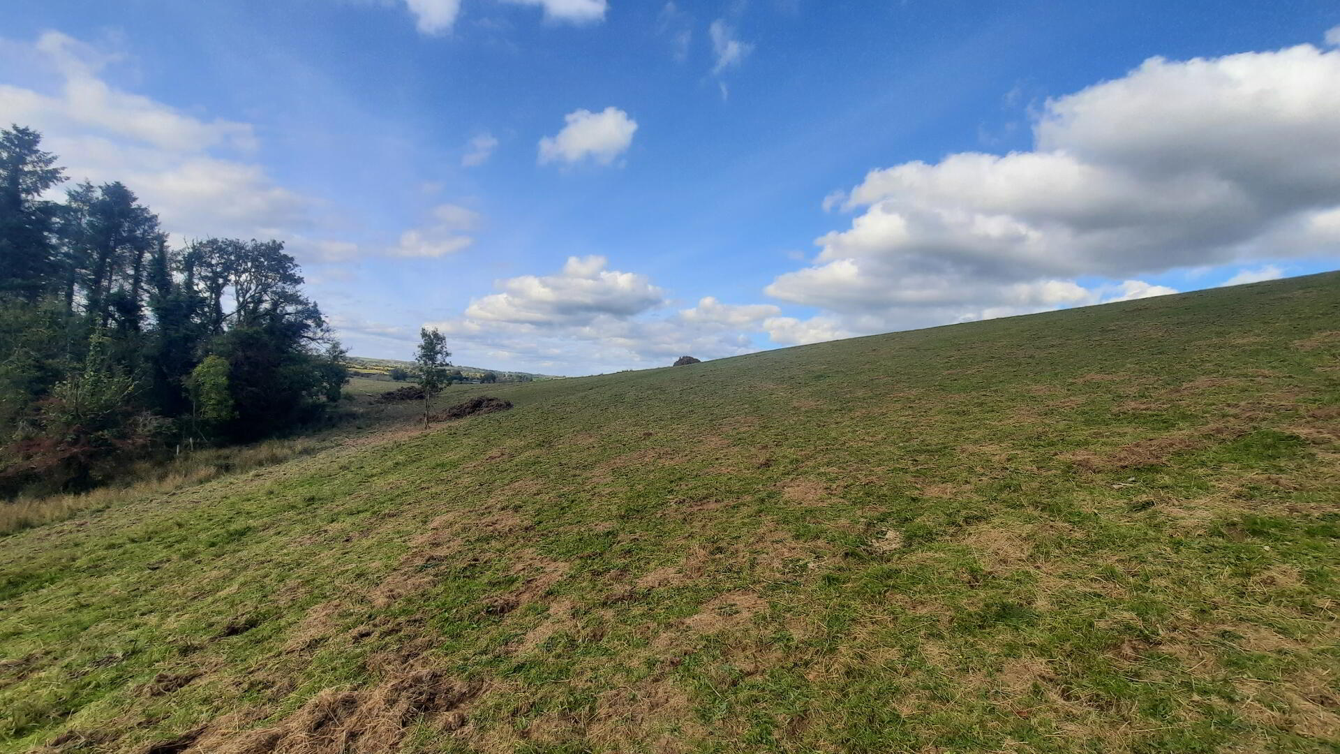 Larkhill 49 of 53