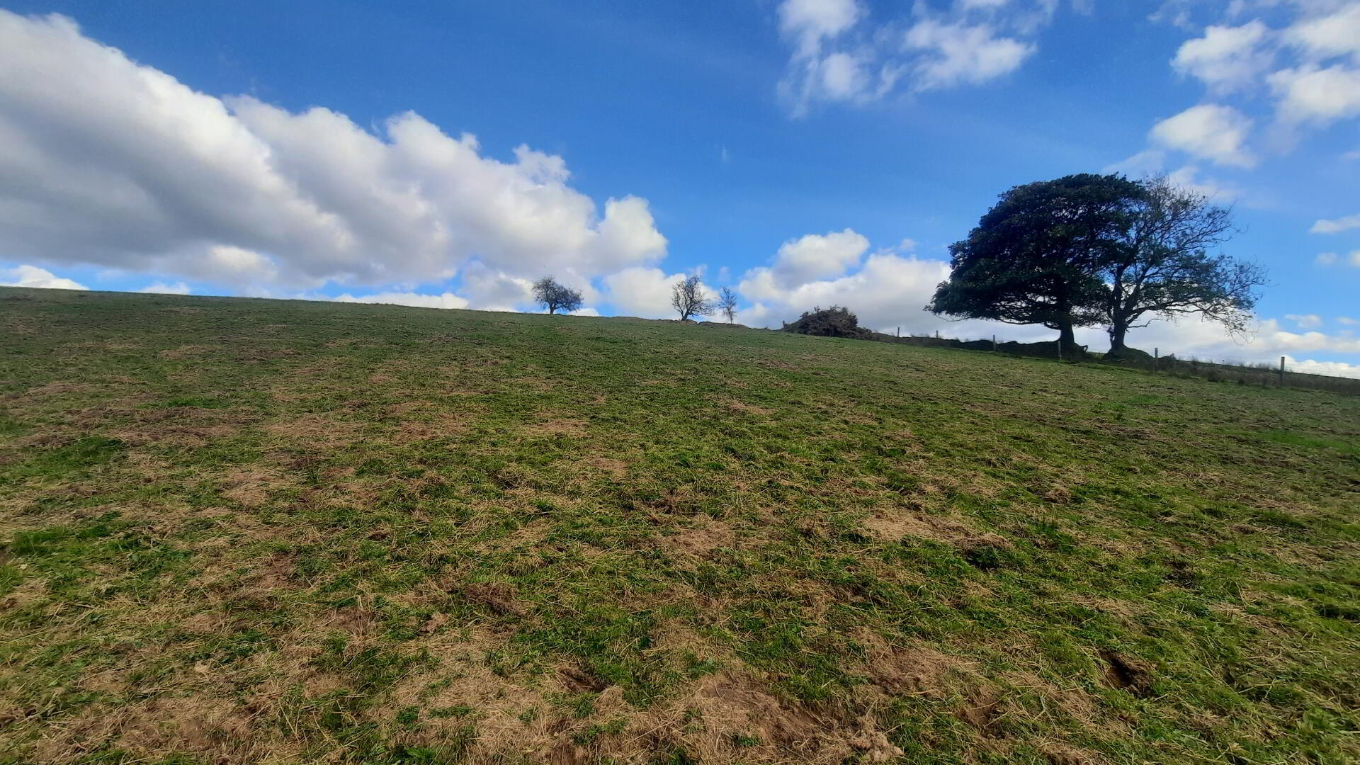 Larkhill 50 of 53