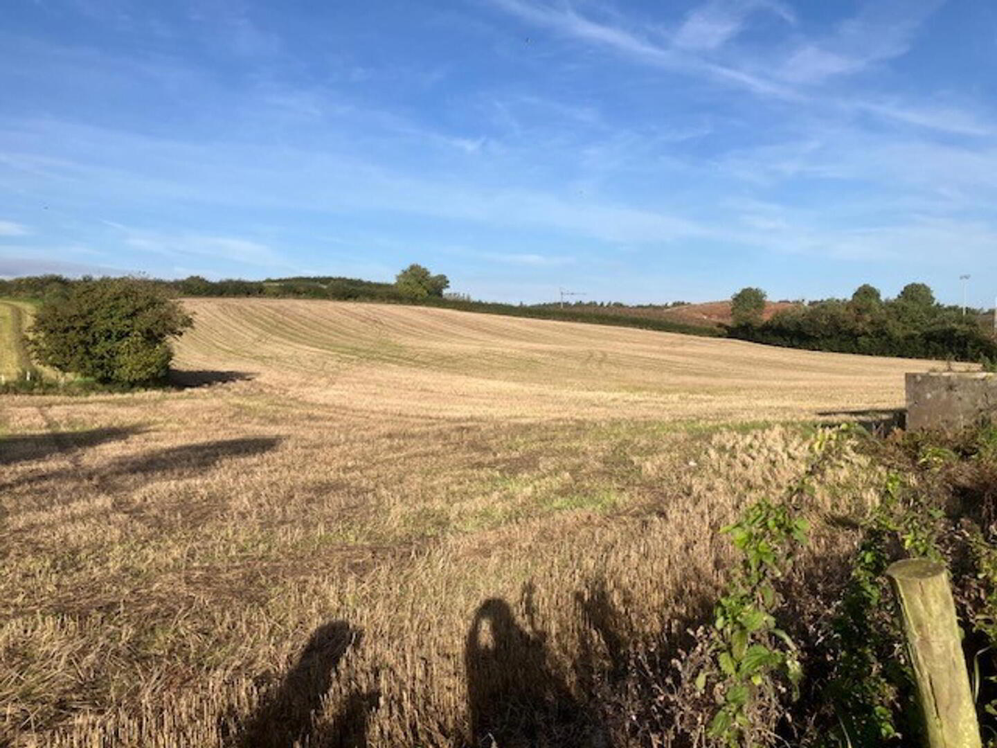 Land At, Killyfaddy Road 8 of 10