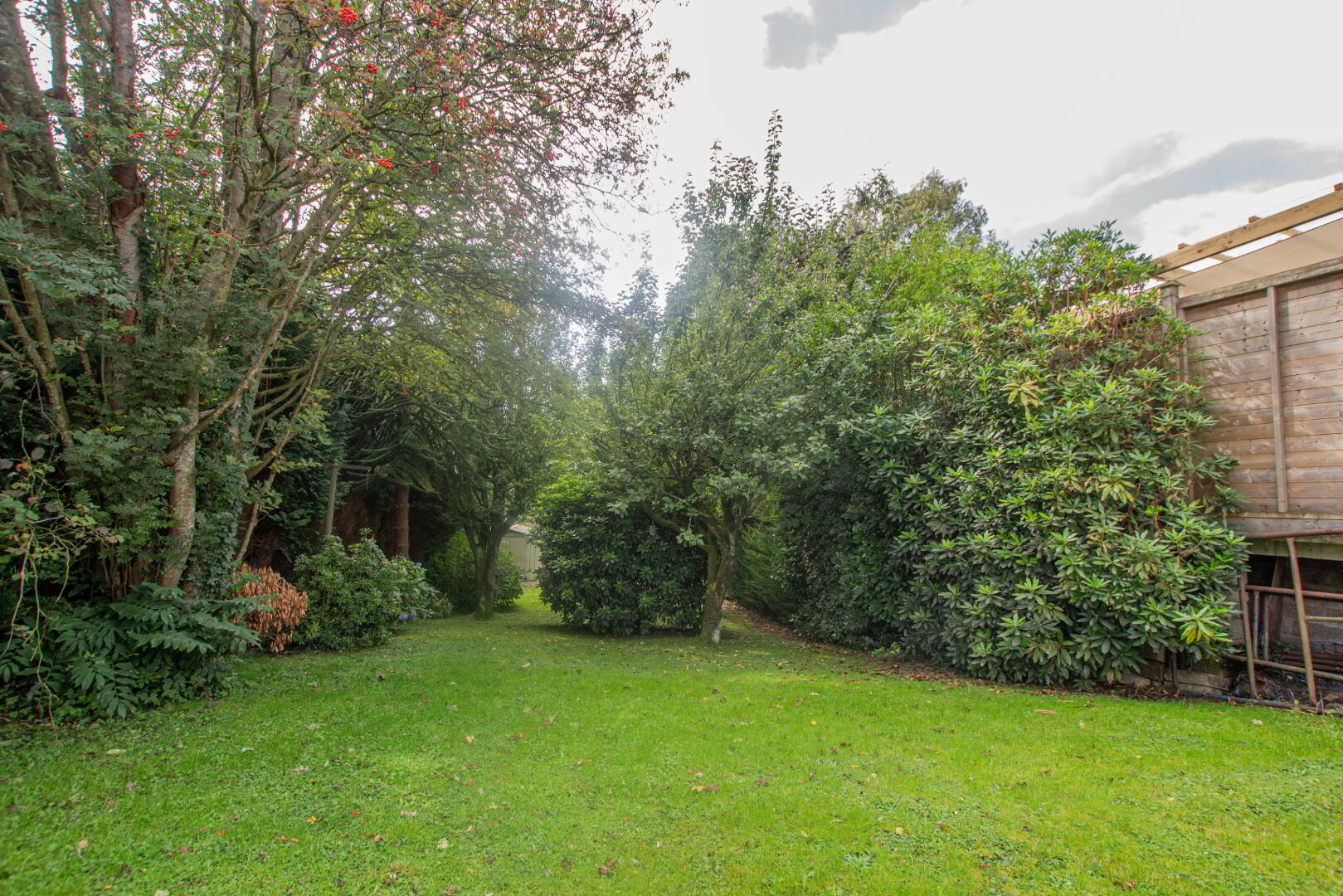 1 Westland Road 18 of 23