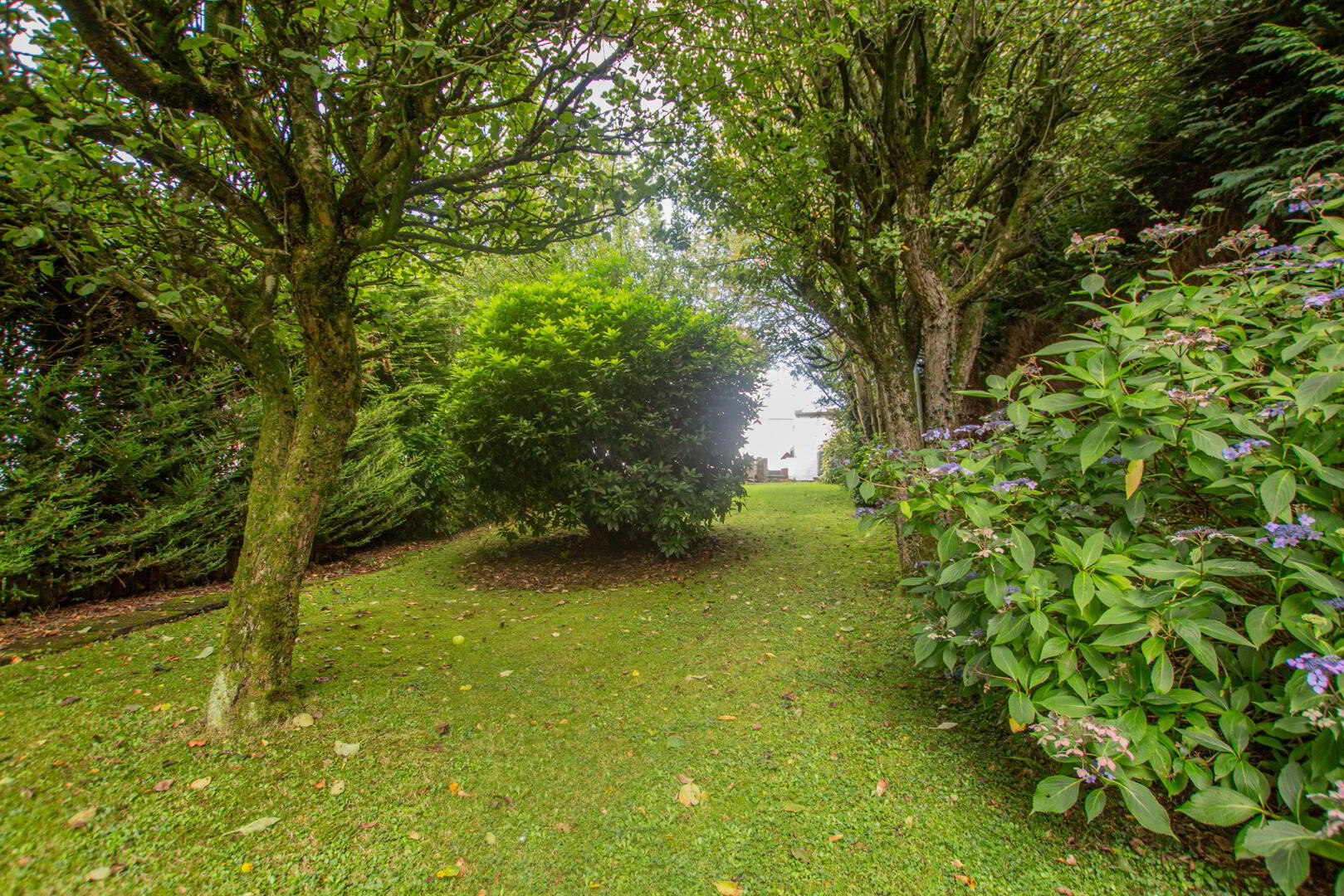 1 Westland Road 19 of 23