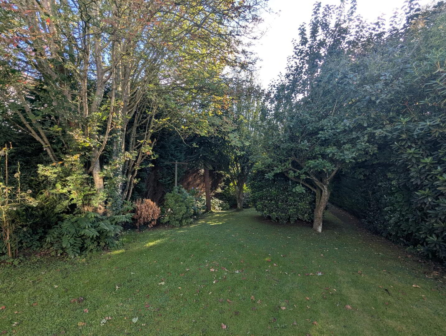 1 Westland Road 20 of 23