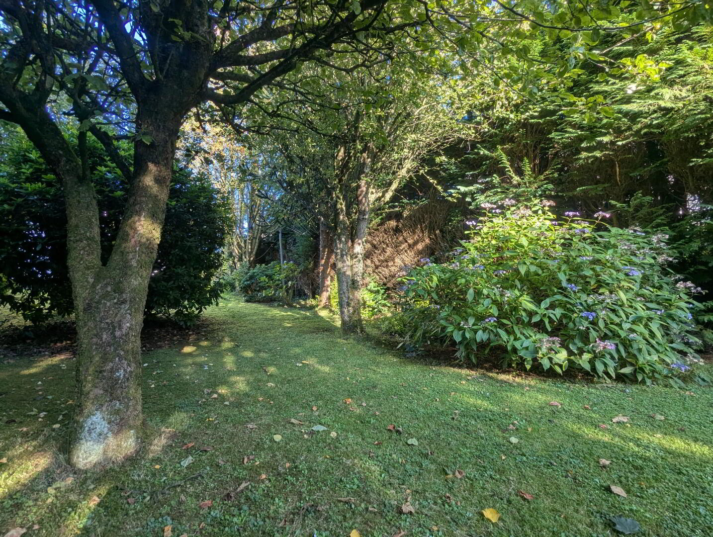 1 Westland Road 21 of 23