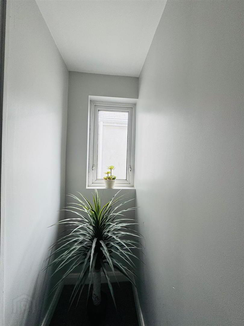 35 Phillip Street 21 of 23