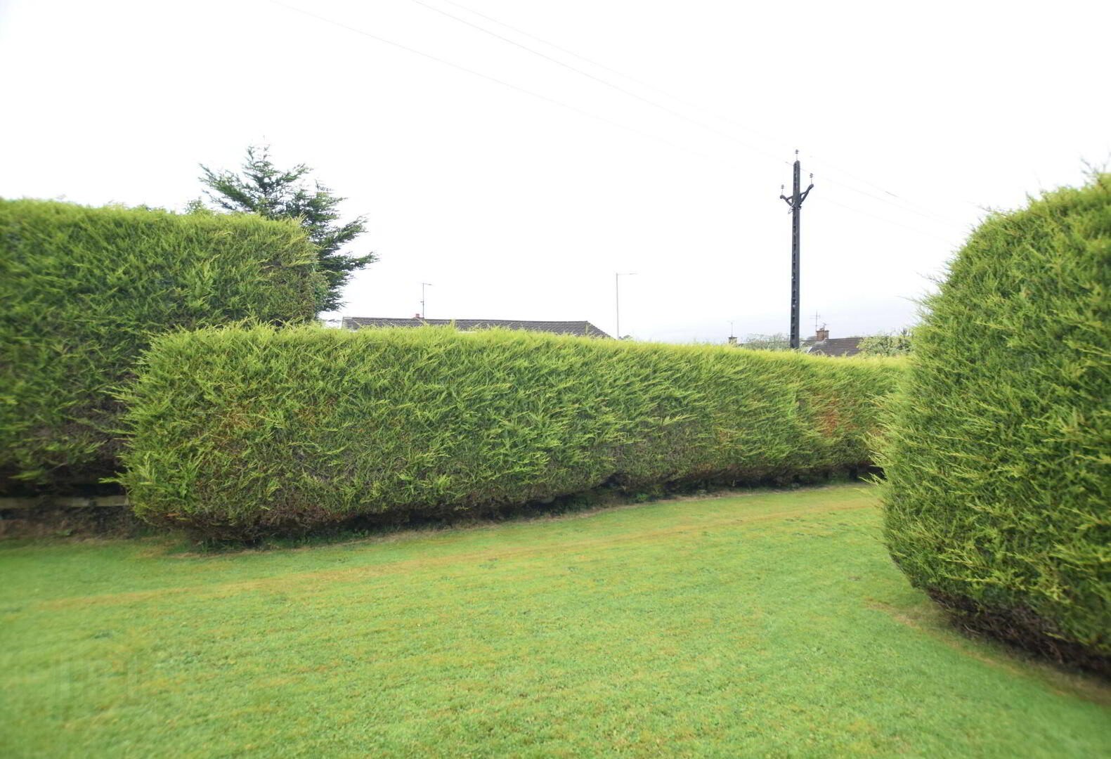 18 Rathmore 31 of 32