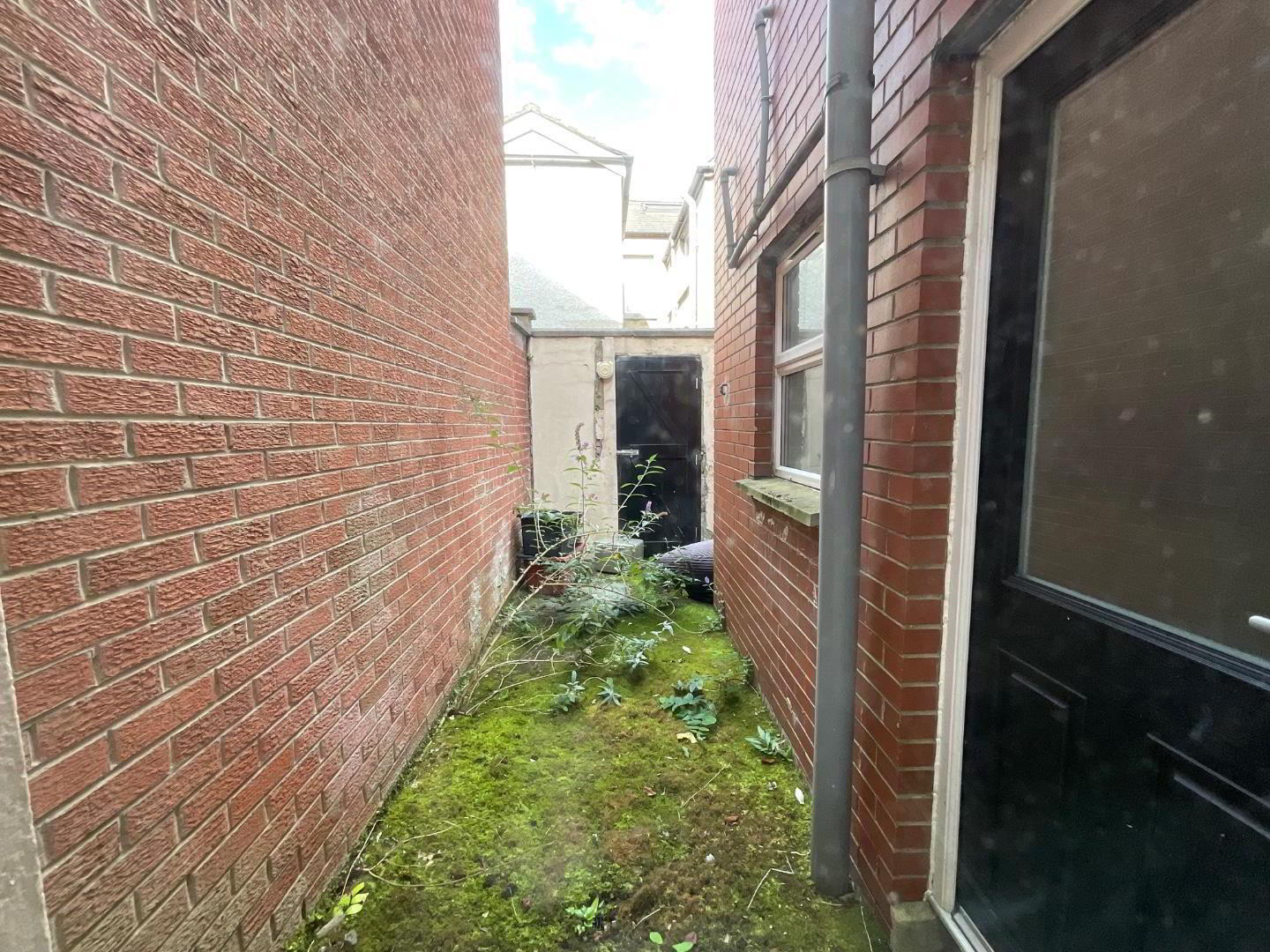 30 Cheviot Street 9 of 9