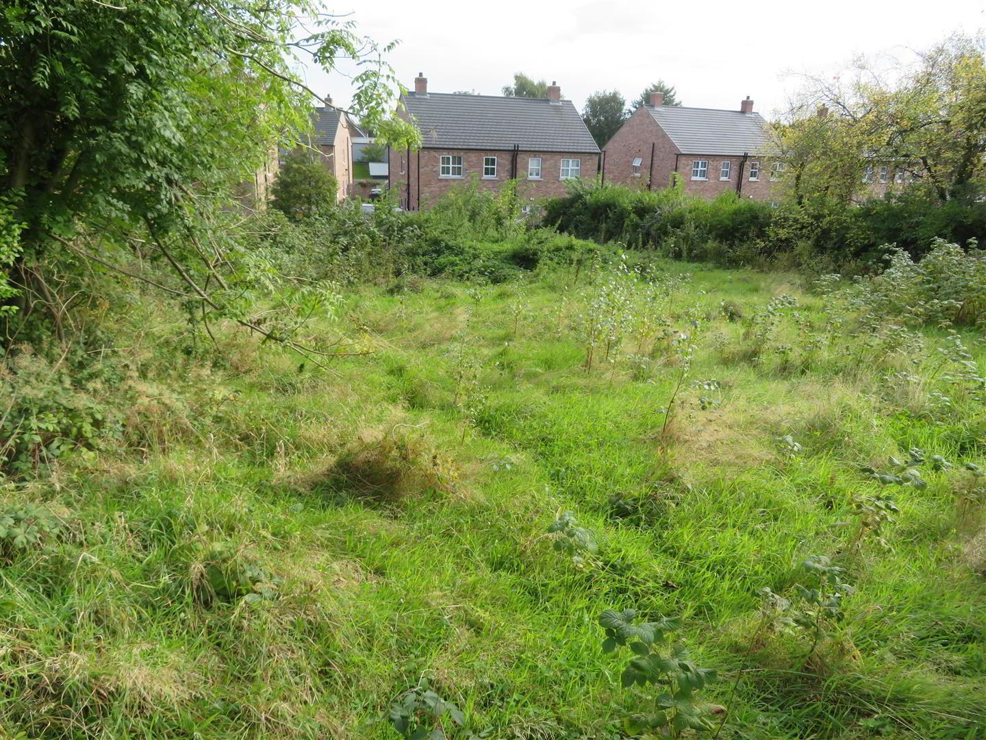 19 Moss Road 3 of 6
