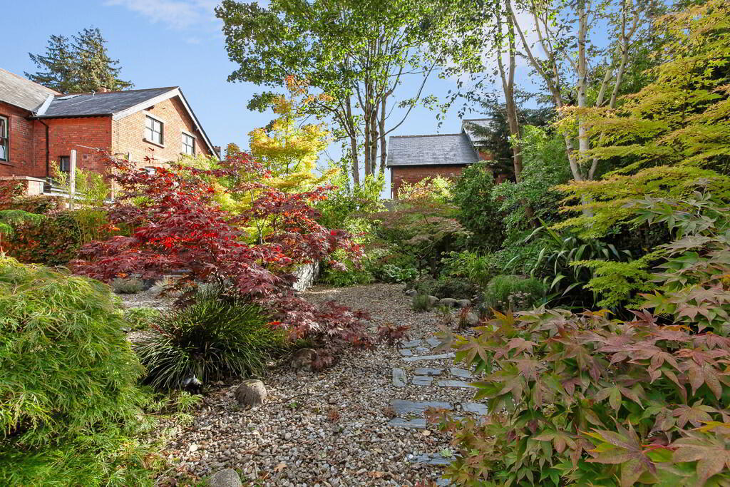 21 Deramore Park 60 of 67